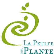 petite plante